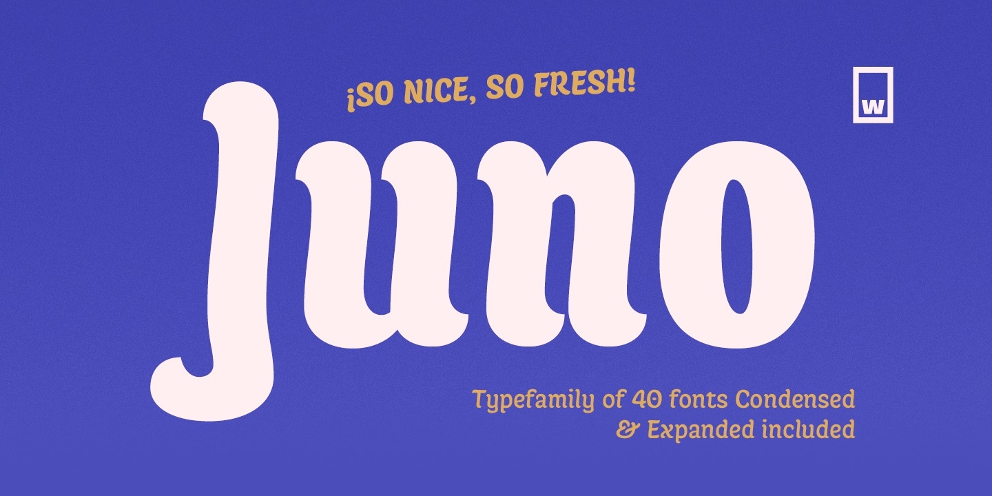 Przykład czcionki Juno Semicondensed Italic